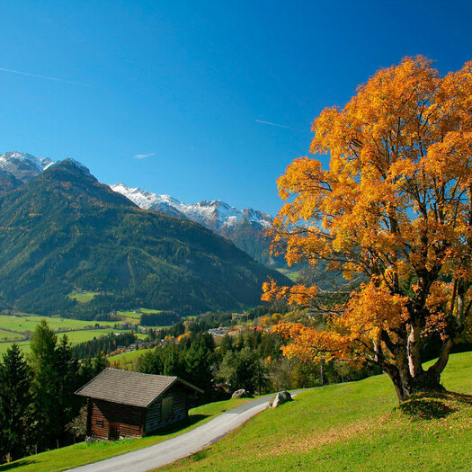 Herbst in Neukirchen ©Wildkogel-Arena Neukirchen & Bramberg